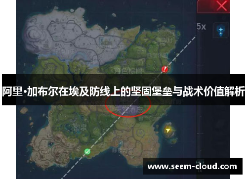 阿里·加布尔在埃及防线上的坚固堡垒与战术价值解析